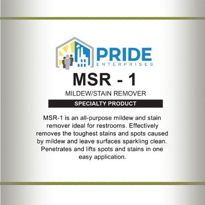 MSR 1 Mildew Stain Remover Product Image
