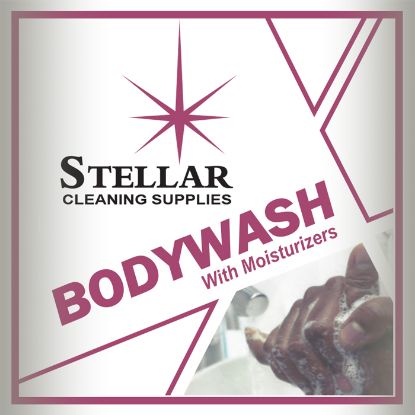 Body Wash With Moisturizers, Body Shampoo