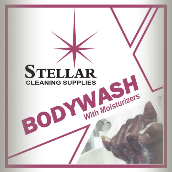 Body Wash With Moisturizers, Body Shampoo